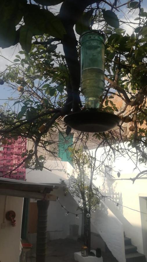 סאן מיגל דה אלנדה Patio Alojamiento מראה חיצוני תמונה
