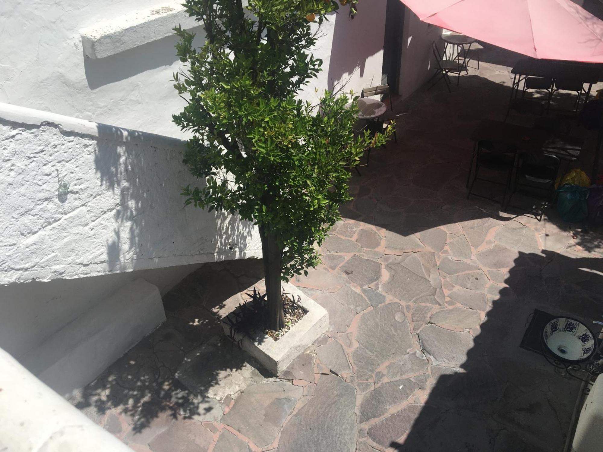 סאן מיגל דה אלנדה Patio Alojamiento מראה חיצוני תמונה